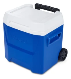 Koelbox Igloo Laguna 16 Roller Blue 2021 -Winkel Voor Kampeerartikelen Voor Buiten 6 00034518 H3