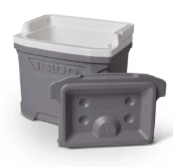 Koelbox Igloo Profile 16 Grey -Winkel Voor Kampeerartikelen Voor Buiten 7 00032635 o3