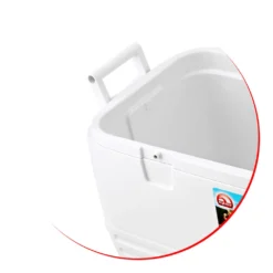 Koelbox Igloo Quick & Cool 120 White -Winkel Voor Kampeerartikelen Voor Buiten igloo quick cool 120 8